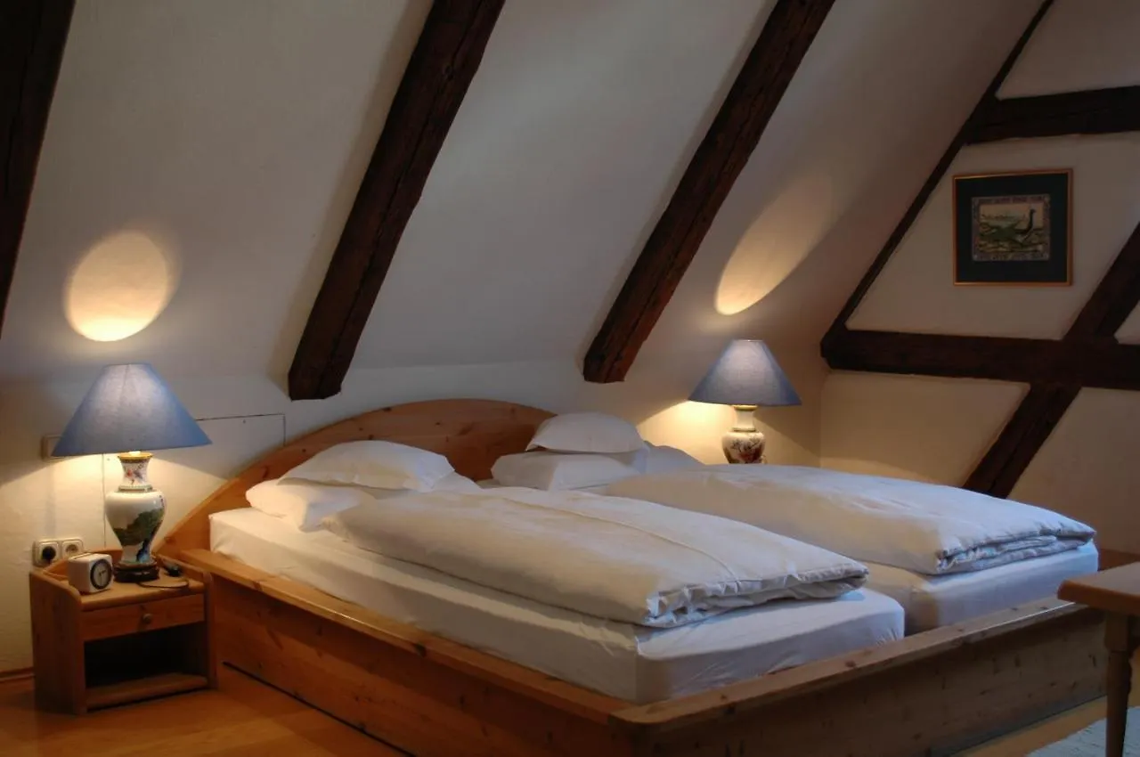 Hotel Schwarzer Adler Erlangen Germany